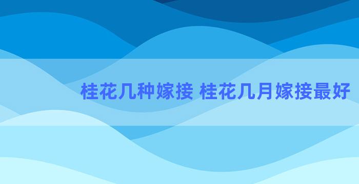 桂花几种嫁接 桂花几月嫁接最好